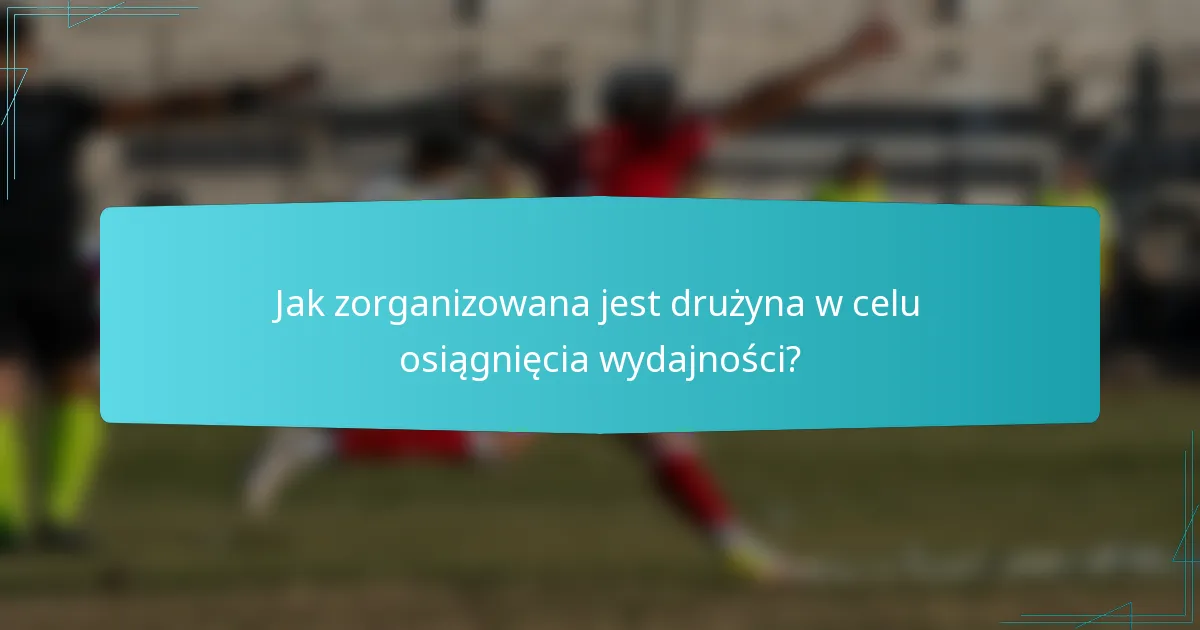 Jak zorganizowana jest drużyna w celu osiągnięcia wydajności?